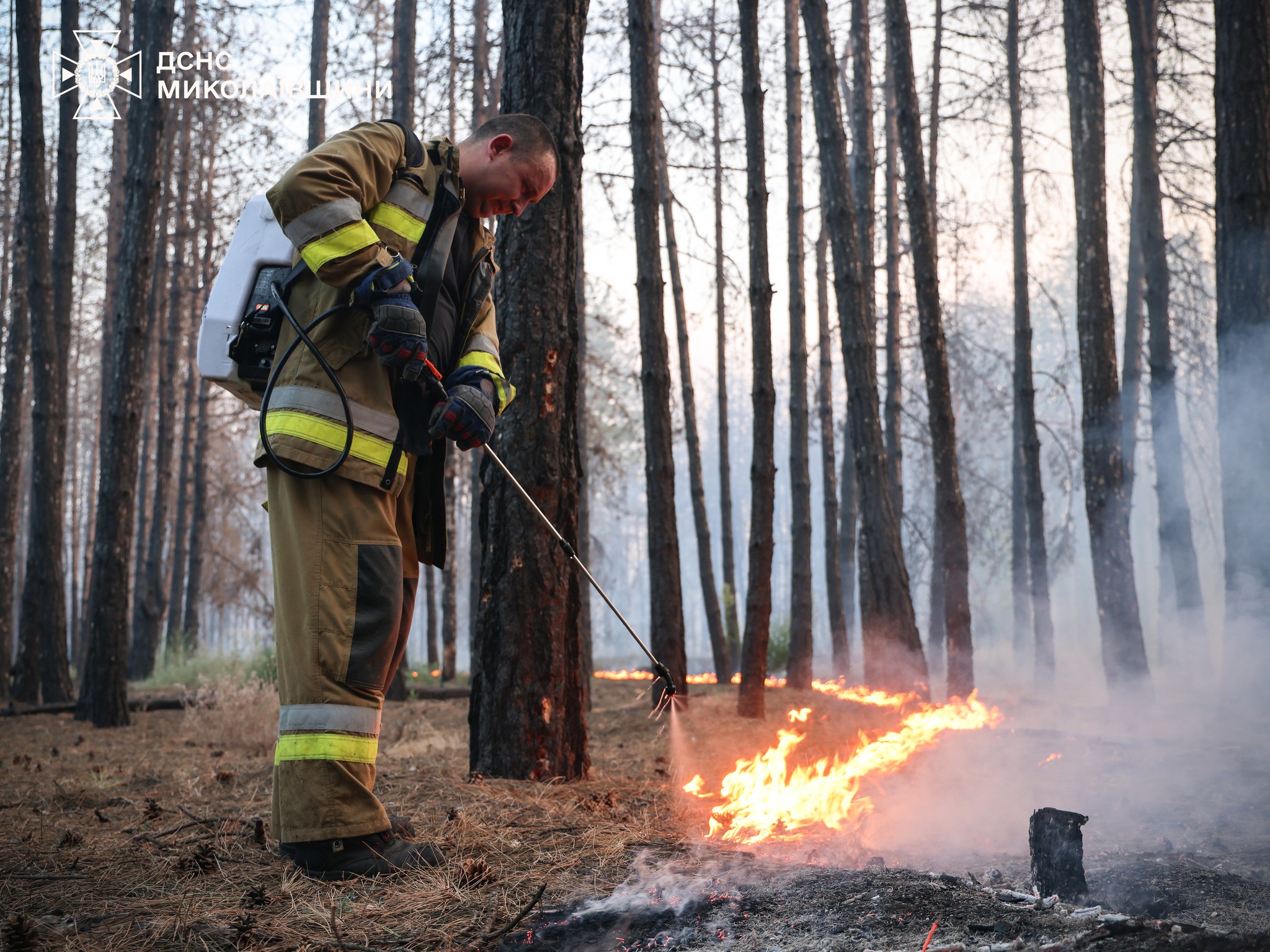 На зображенні може бути: 1 особа, вогонь та текст «дСНО микоми»