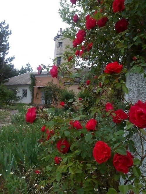 Гідрометцентр на місці оптичного телеграфу