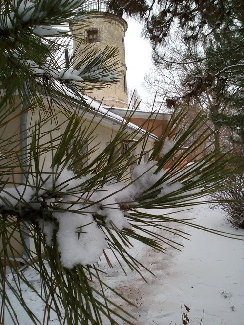 Гідрометцентр, Николаев