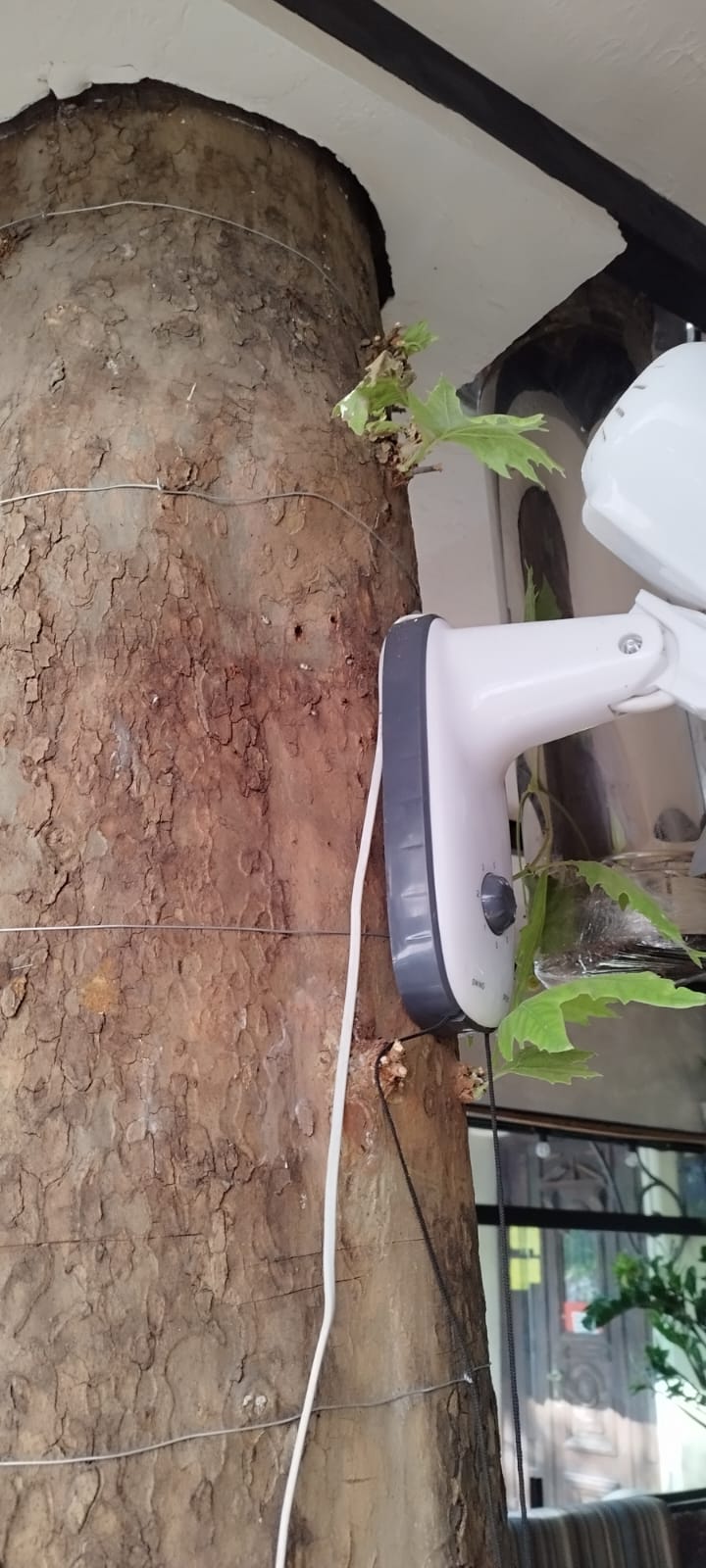 На зображенні може бути: паркомат, водонагрівач, фен та ріпсаліс