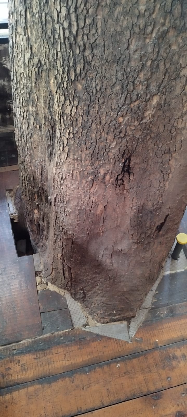 Немає опису світлини.