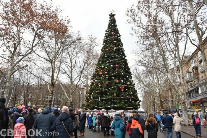 Історія ялинок в Миколаєві