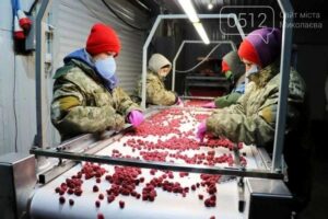 Холодильник и морозильник для заморозки малины и клубники.